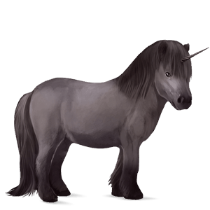 unicorn pony newfoundland pony mouse grey