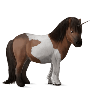 unicorn pony shetland dark bay tobiano