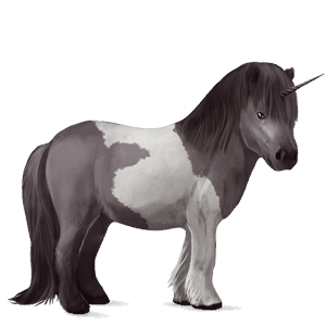 unicorn pony shetland mouse grey tobiano