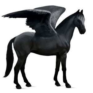 riding pegasus purebred spanish horse flaxen liver chestnut 