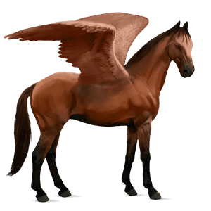 riding pegasus quarter horse cherry bay