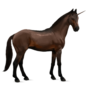 riding unicorn irish hunter dark bay