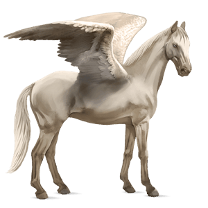 riding pegasus brumby cremello