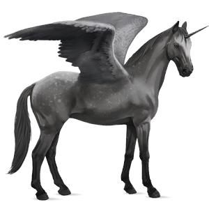 winged riding unicorn irish hunter dapple grey