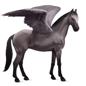 riding pegasus holsteiner dapple grey