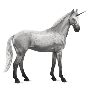 riding unicorn cherry bay