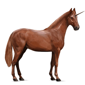riding unicorn kwpn chestnut
