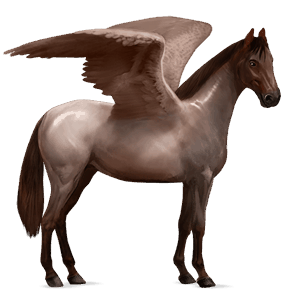 riding pegasus bay