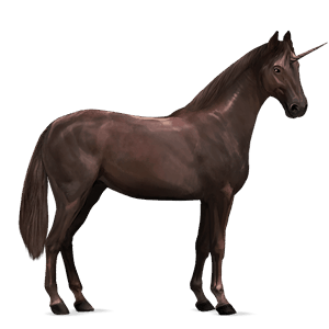 riding unicorn irish hunter liver chestnut