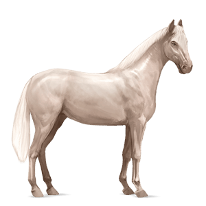riding horse quarter horse cremello