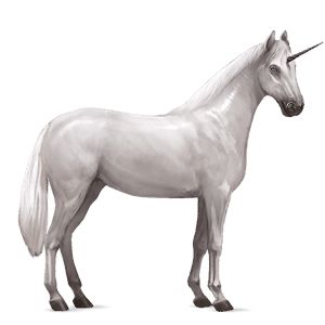 riding unicorn arabian horse light grey