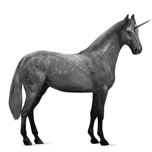 riding unicorn roan