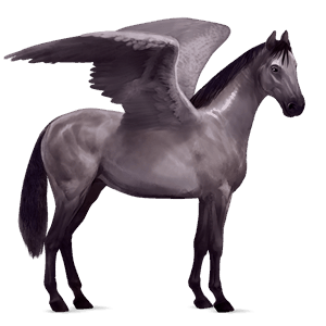 riding pegasus arabian horse bay
