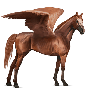 riding pegasus mustang chestnut