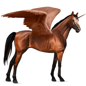 winged riding unicorn thoroughbred cherry bay