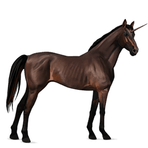 riding unicorn arabian horse chestnut