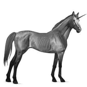 riding unicorn purebred spanish horse dapple grey