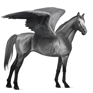 riding pegasus thoroughbred dapple grey