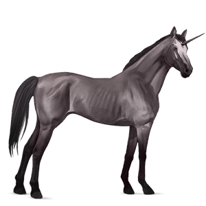 riding unicorn arabian horse light grey