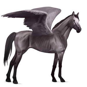 riding pegasus mouse grey