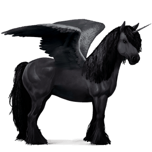 winged riding unicorn kwpn black