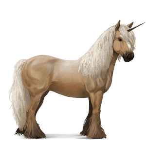 riding unicorn dapple grey tobiano