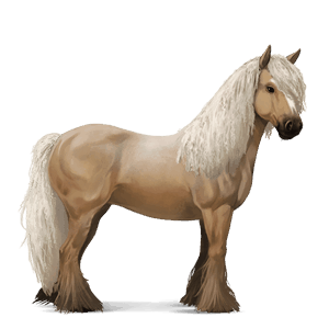 riding horse mustang roan