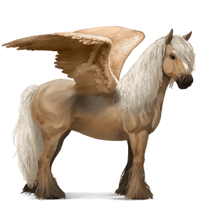 riding pegasus cherry bay blanket 