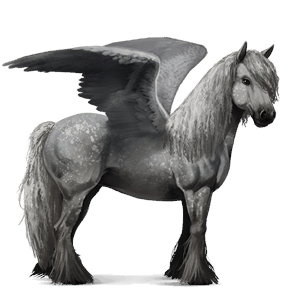 riding pegasus arabian horse dun