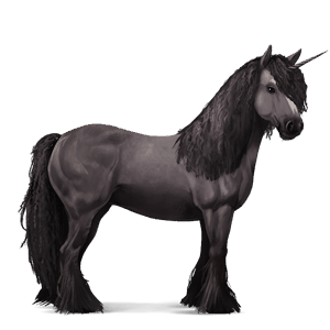 riding unicorn vanner black tobiano