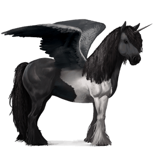 winged draught unicorn drum horse black tobiano