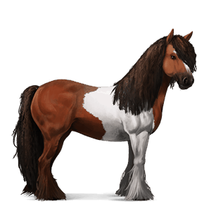 riding horse mustang cremello