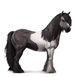 riding horse dapple grey