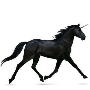 riding unicorn nokota black
