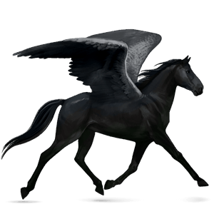 riding pegasus black