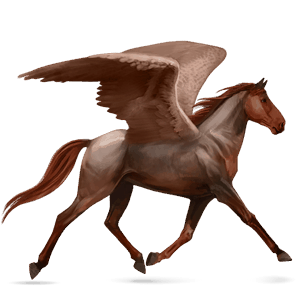 riding pegasus arabian horse roan