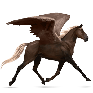riding pegasus arabian horse light grey