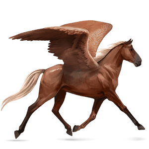 riding pegasus tennessee walker black