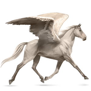 riding pegasus mustang dun