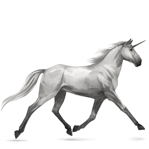 riding unicorn purebred spanish horse light grey