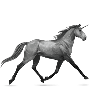 riding unicorn purebred spanish horse dapple grey