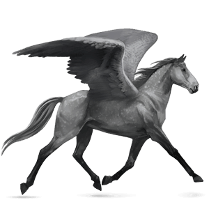 riding pegasus hanoverian dapple grey