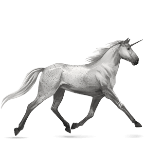 riding unicorn arabian horse bay