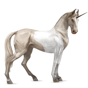 riding unicorn shagya arabian dapple grey