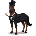 draught horse loony doctor