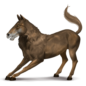 pegasus pony werehorse