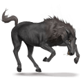 unicorn pony werehorse