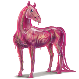 unicorn pony blob