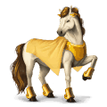 riding horse vanner dun