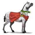riding horse arabian horse fleabitten grey